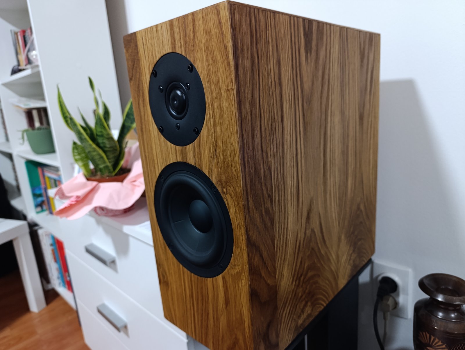 Origin Speaker Internal Construction